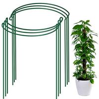 Supports de plantes en métal vert, piquets en fil d'acier pour jardin, support de pot de fleurs, résistant à la rouille, revêtement en poudre