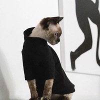 Sweat-shirt noir pour chat Sphynx OEM ODM, col montant, manches longues, vêtements pour chat Sphynx, pull pour chat sans poils, haut pour chaton, vêtements pour animaux de compagnie