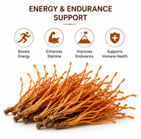 Extrait de Cordyceps Sinensis Militaris certifié GMP en poudre 10:1 20:1, Cordycepine standardisée, approvisionnement en vrac pour les marques
