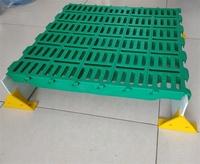Plancher en plastique à lattes pour élevage de porcs 600*600mm, plancher en plastique à lattes pour porcelets, grille de drainage des excréments de porcs, tapis de sol pour porcelets, bande de retrait des excréments
