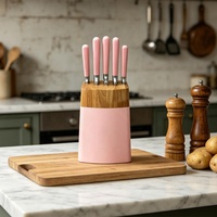 Ensemble de couteaux de chef chinois Fulwin en acier inoxydable avec lames 3CR13, manches durables et écologiques avec peinture par pulvérisation