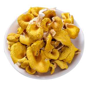 Champignons jaunes naturels de haute qualité cultivés Cantharellus Cibarius Shiitake champignon chanterelle séché cru et déshydraté - Product Image 4