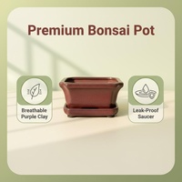 Ensemble de pots à bonsaï en céramique vintage moderne, petit modèle, glaçure bleue, durable, biodégradable, pour usage intérieur et extérieur