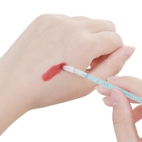 Pinceaux à lèvres jetables à prix avantageux, applicateurs de gloss à lèvres transparents, testeurs de rouge à lèvres, applicateurs de rouge à lèvres, baguettes