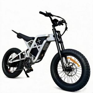 Bicicleta eléctrica de montaña de 20*4 pulgadas con cuadro de aluminio de suspensión completa y frenos de disco hidráulicos dobles, batería de litio de 60V 25AH - Product Image 1