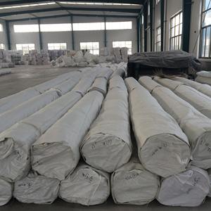 Geomembrana in HDPE XinJuHe, Rivestimento Impermeabile per Dighe, Parchi, Stagni, Allevamenti di Gamberetti, Serbatoi - Spessore 0,5mm/3mm, Garanzia di 5 Anni - Product Image 4