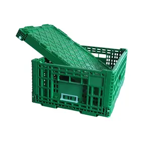 Supermercado plegable de plástico duro de fruta plegable vegetales huevo cesta de transporte/caja