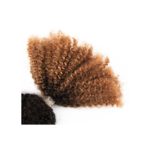 Mèches de cheveux humains Remy brésiliens Springy Twist, lot de 30, bouclés crépus, pour tressage en salons, Nigéria, Afrique du Sud, personnalisables