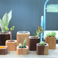 Mini pot de fleurs en bois de noyer avec logo personnalisé et boîte en aluminium pour la décoration de la maison, pot de fleurs en bois, conteneur pour plantes succulentes et cactus