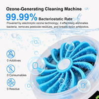 Ozone Fruitreiniger Groentewasmachine voor het verwijderen van pesticidenresten Oplaadbare ozonreinigingsmachine