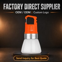 Lampe de poche de camping à changement de couleur RGB, mode dégradé de lumière ambiante, 8 couleurs, blanc, jaune, rechargeable par USB, étanche IPX4