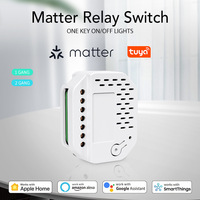Module d'interrupteur intelligent mini Matter WiFi Zigbee pour éclairage, contrôle vocal, sans caméra, pour domotique Alexa Google