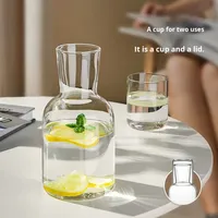 Carafe en verre résistant aux hautes températures, fonctions chaud/froid, design moderne, grande carafe en verre borosilicate