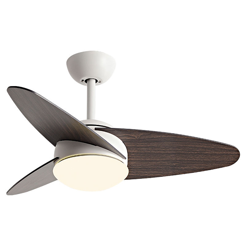 ขาว + วอลนัท