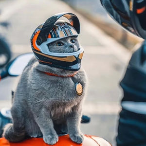 <span class=keywords><strong>Casco</strong></span> De Moda Para Mascotas Pequeñas, Gatos y Perros, A Prueba De Viento Para Motocicleta y Paseos Al Aire Libre - Product Image 2