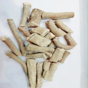 Raíces de Ashwagandha Silvestres Orgánicas de la India, Ashwagandha de Alta Calidad en Venta - Product Image 5