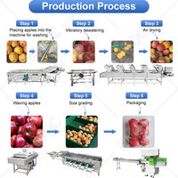 HNOC Sla- en fruitdrooglijn, tomaten-, mango- en groentewas- en droogmachine