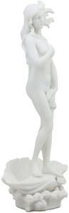 Belle statue <span class=keywords><strong>de</strong></span> la <span class=keywords><strong>naissance</strong></span> <span class=keywords><strong>de</strong></span> Vénus en marbre blanc - Product Image 2