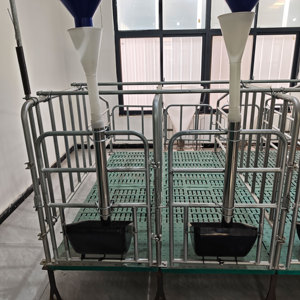 Fast Delivery Smooth Pig Delivery <strong>Bed</strong> Pig Farm Feeder Pig Raising Equipment for <strong>Nursery</strong> Farm - Product Image 2