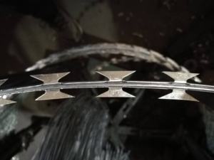 <span class=keywords><strong>Filo</strong></span> <span class=keywords><strong>spinato</strong></span> <span class=keywords><strong>filo</strong></span> <span class=keywords><strong>spinato</strong></span> nastro teso <span class=keywords><strong>filo</strong></span> <span class=keywords><strong>spinato</strong></span> 500 metro <span class=keywords><strong>filo</strong></span> <span class=keywords><strong>spinato</strong></span> - Product Image 4