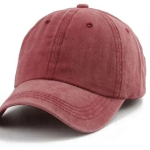 หมวกแก๊ปผ้าฝ้ายปักโลโก้ตามสั่ง แห้งเร็ว ปรับขนาดได้ เหมาะสำหรับกิจกรรมกลางแจ้ง สไตล์สปอร์ต ขายส่งแฟชั่น - Product Image 2