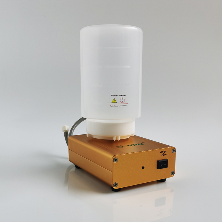 dental apex woodpecker