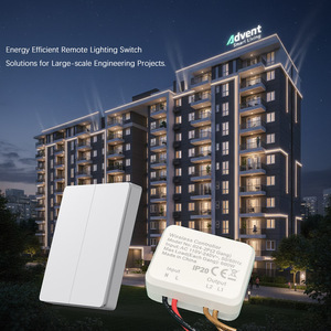 Interrupteur mural sans fil <span class=keywords><strong>2</strong></span> voies 10A programmable avec télécommande, étanche IP44, contrôle d'éclairage à distance <span class=keywords><strong>2</strong></span>,4 GHz - Product Image 1