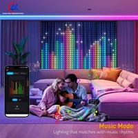 Guirlandes lumineuses LED intelligentes RGB en cuir, 2m x 2.4m, étanches, pour mariage, Noël, décoration murale intérieure et extérieure