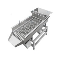Pfsn Petite machine de criblage linéaire en acier inoxydable à poser au sol, équipement de traitement des céréales, séparateur de maïs et d'arachides