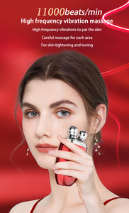 360 ruota il massaggiatore a rullo facciale 3D ricaricabile per la rimozione delle rughe del <span class=keywords><strong>viso</strong></span> sottile <span class=keywords><strong>con</strong></span> contenitore idratante - Product Image 4