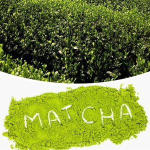 Matcha en polvo a granel 1kg, Matcha en polvo a granel 500g, Matcha en polvo al por mayor - Product Image 1