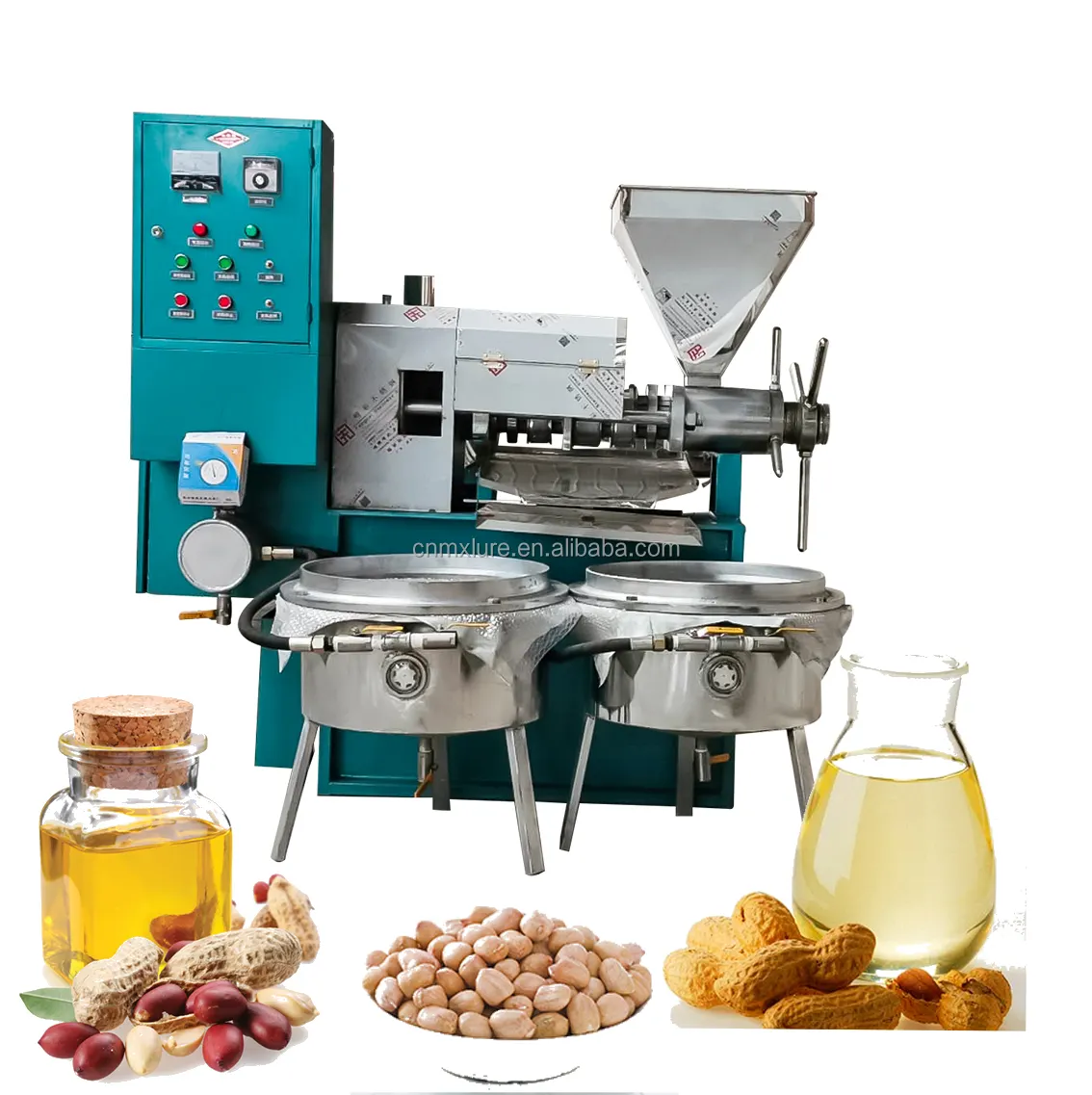 Machine de fabrication d'huile de cuisson 100 kg par heure presse à froid et à chaud machine d'extraction d'huile presse à huile pour arachides
