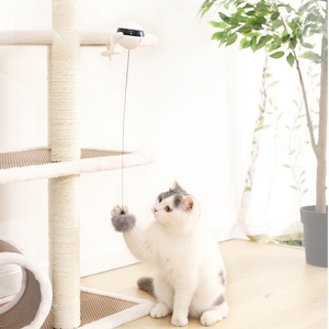 Juguete Interactivo Robótico Eléctrico <span class=keywords><strong>para</strong></span> <span class=keywords><strong>Gatos</strong></span> y Perros de Interior, Juguete de Peluche Automático y Sostenible <span class=keywords><strong>para</strong></span> Mascotas de Interior - Product Image 2