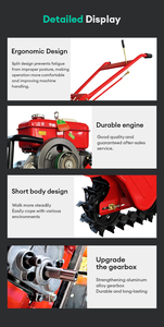 Mini Cultivadora Multifuncional con Motor Diésel 173, Máquina Agrícola para Arar, para Sudamérica - Product Image 4