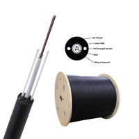 Kabel Optik Non Logam Tanpa Pelindung Mini ADSS Kabel Fibra Optica Outdoor 2 4 6 8 12 16 24 Core FRP Kabel Serat Optik 2KM Harga