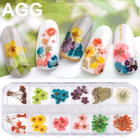 Mttuagg — capsules sèches en vrac pour ongles, 12 couleurs, pour Gel 3D acrylique, faux ongles décorations de haute qualité
