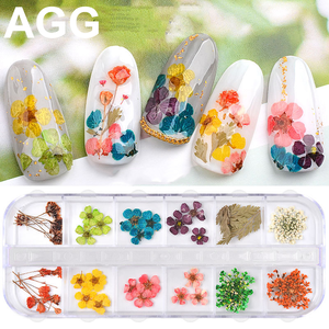 <span class=keywords><strong>AGG</strong></span> di Alta Qualità 12 di Colore Reale Bulk Secchi Fiore Secco per 3D Gel Acrilico Punte False Del Chiodo Decorazioni di Arte - Product Image 5