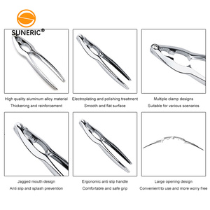 Wholesale Crab Leg Lobster Seafood Tool Manual Chestnuts Opener Walnut Crusher Nut <strong>Cracker</strong> - Product Image 3