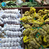 Filet pour la fabrication des sacs de fruits, légumes et ail, machine d'emballage en plastique en usine, 100 pièces