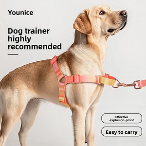 Gradient Colored Stainless Steel Cross Border <strong>Dog</strong> Harness And <strong>Leash</strong> Set Soft Durable For Training Walking Prevents Sudden - Product Image 2