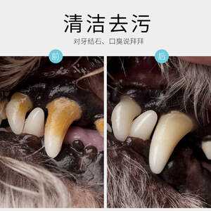 Pet Story Dog Dental <b>Cleaning</b> <b>Tool</b> Remove Tartar For Pets <b>Teeth</b> Care - Product Image 4