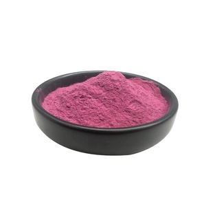 100% 天然サボテンパウダー卸売サボテンフルーツエキスジュースパウダー - Product Image 1