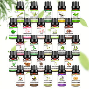 Huile essentielle ODM OEM pour diffuseur - 100% pure, naturelle, extrait de plante d'eucalyptus, huile d'aromathérapie fraîche, qualité thérapeutique, 10 ml - Product Image 1