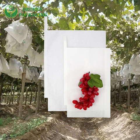 Mango Packaging Biodegradable Environmental Fruit Growing Paper Bag Grape Protection Mango Packaging Biodegradable Environmental Fruit Growing Paper Bag Grape Protection