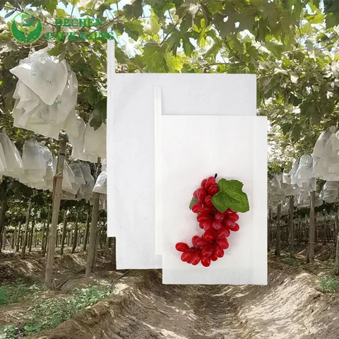 Mango Packaging Biodegradable Environmental Fruit Growing Paper Bag Grape Protection