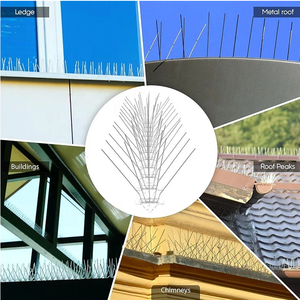 Spedizioni Veloci: Dissuasore Antivolatile Inox Ecologico Antiruggine, INNOCUO <span class=keywords><strong>per</strong></span> il Controllo dei Parassiti, Facile da Montare <span class=keywords><strong>per</strong></span> Tetti, Ringhiere e Superfici Ridotte - Product Image 5