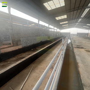 Système complet <span class=keywords><strong>de</strong></span> plancher à lattes pour ferme ovine <span class=keywords><strong>de</strong></span> 3000 moutons, incluant des lattes en plastique vert et des poutres <span class=keywords><strong>de</strong></span> <span class=keywords><strong>support</strong></span> en acier galvanisé pour ferme ovine - Product Image 3
