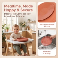 Assiette à ventouse 100 % silicone pour bébé et tout-petit, vaisselle pour l'alimentation des bébés
