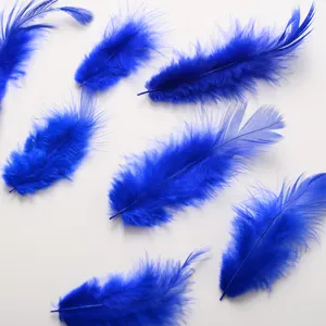 Wholesale Craft DIY Loose Bulk Pack Colorful Small Hen Feather For Ornament Making Chicken Feather 10g/bag