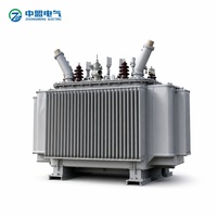 Transformateur de distribution triphasé immergé dans l'huile, tout en cuivre, S13 50-630 kVA 10 kV/400 V, scellé pour extérieur